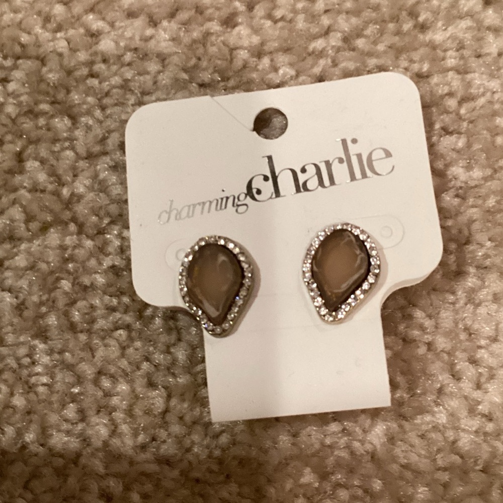Charming Charlie Earthy Tones Necklace - Picture 5 of 6